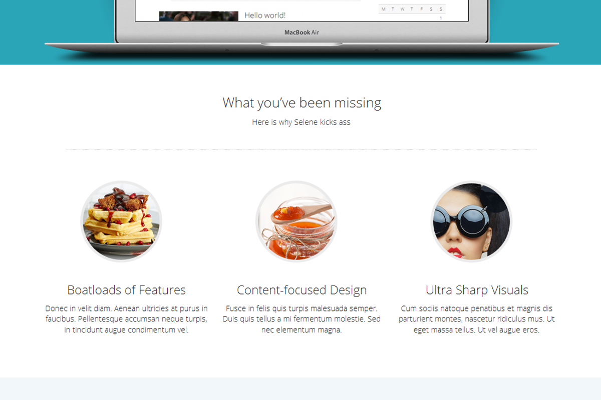 Selene - Responsive WordPress Theme, a WordPress Template by Carvd Themes (Photo 2 of 5)