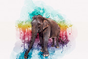 Animal Art Photo Effect, an Action Add-On by MRI STUDIO (Thumbnail 6 of 7)