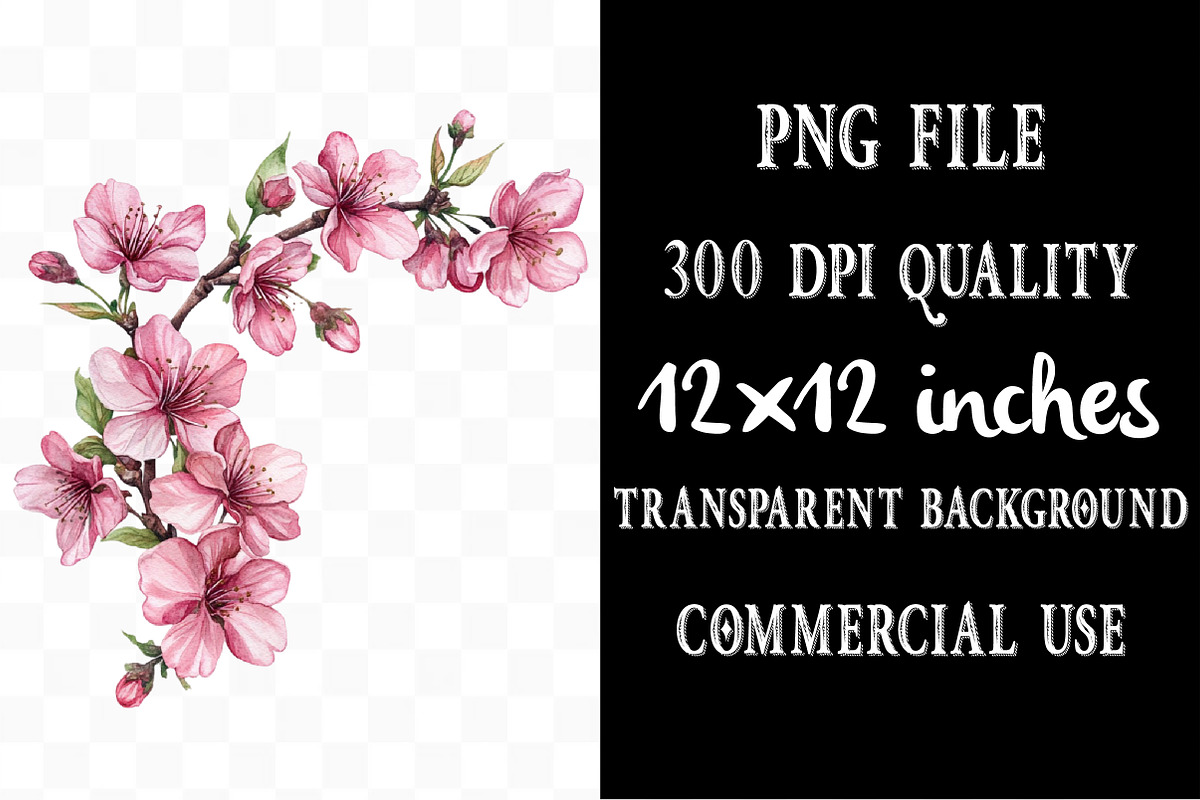 Watercolor Sakura Blossoms Clipart, an Illustration by Designking (Photo 4 of 5)