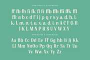Manica Modern Editorial Serif, a Serif Font by timelesstype.co (Thumbnail 19 of 20)