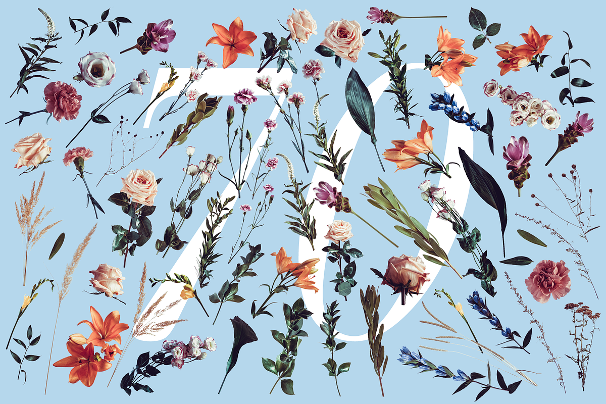 The Secret Garden • Floral Pack, an Object Graphic by Deveze Art & Co (Photo 8 of 11)