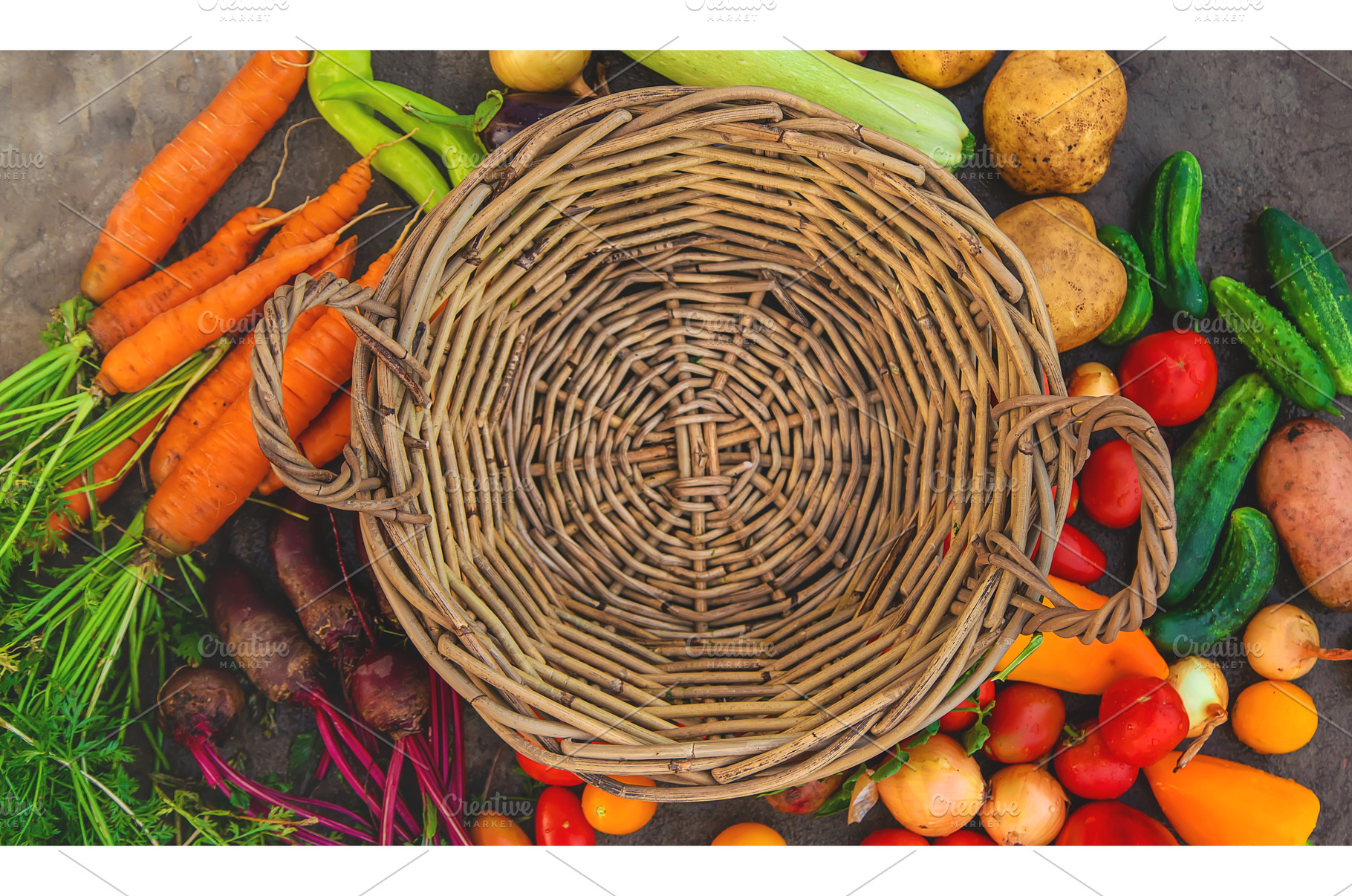Harvest vegetables in the garden, a Food & Drink Photo by yanadjana