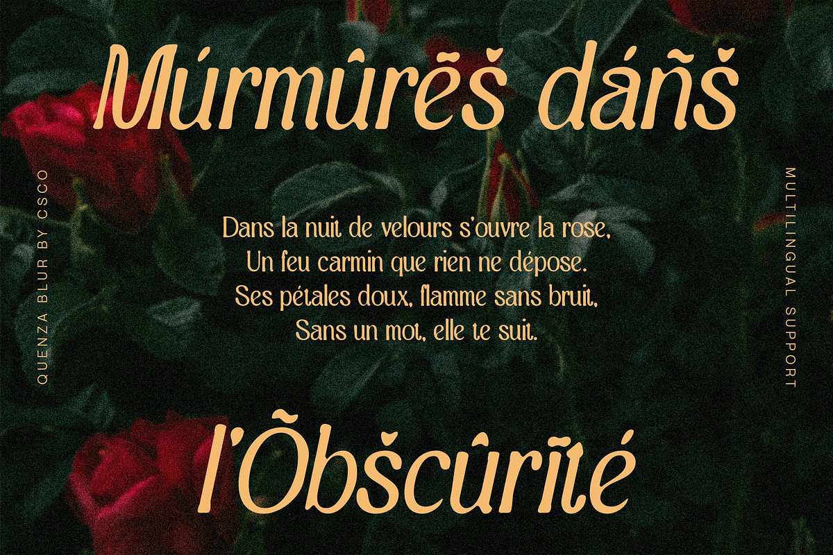 Quenza Blur, a Serif Font by Craft Supply Co. (Photo 7 of 8)