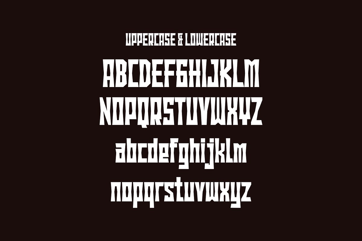 Gonary - Bold Display Font, a Sans Serif Font by lelevien (Photo 3 of 4)
