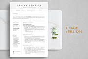 Modern Resume Template, a Resume Template by TheStandOutResume (Thumbnail 2 of 8)