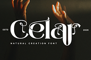 Natural Creation - Decorative Font, a Serif Font by 177Studio (Thumbnail 4 of 8)
