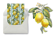Lemon Garden Seamless Patterns, a Pattern Graphic by Jeanna Draw (Thumbnail 4 of 10)