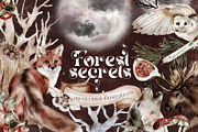 Forest Illustrations Mystic Autumn, an Animal Illustration by Busy May Studio (Thumbnail 1 of 20)