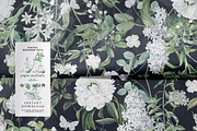 White Flowers Botanical Paper Pack, a Pattern Graphic by paper aesthetic (Thumbnail 5 of 8)
