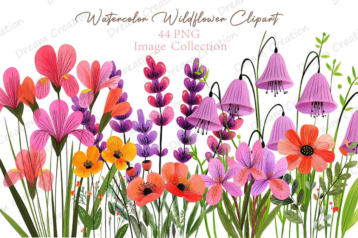 Watercolor Wildflower Clipart, an Illustration by Dream Creation (Photo 1 of 11)