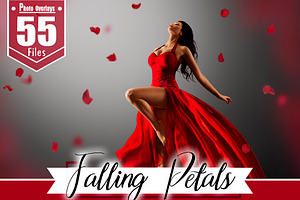 55 Falling Petals Photo Overlays