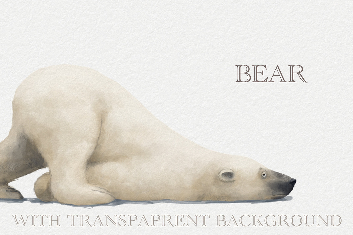 White Polar Bear, an Animal Illustration by sheincar (Photo 1 of 2)