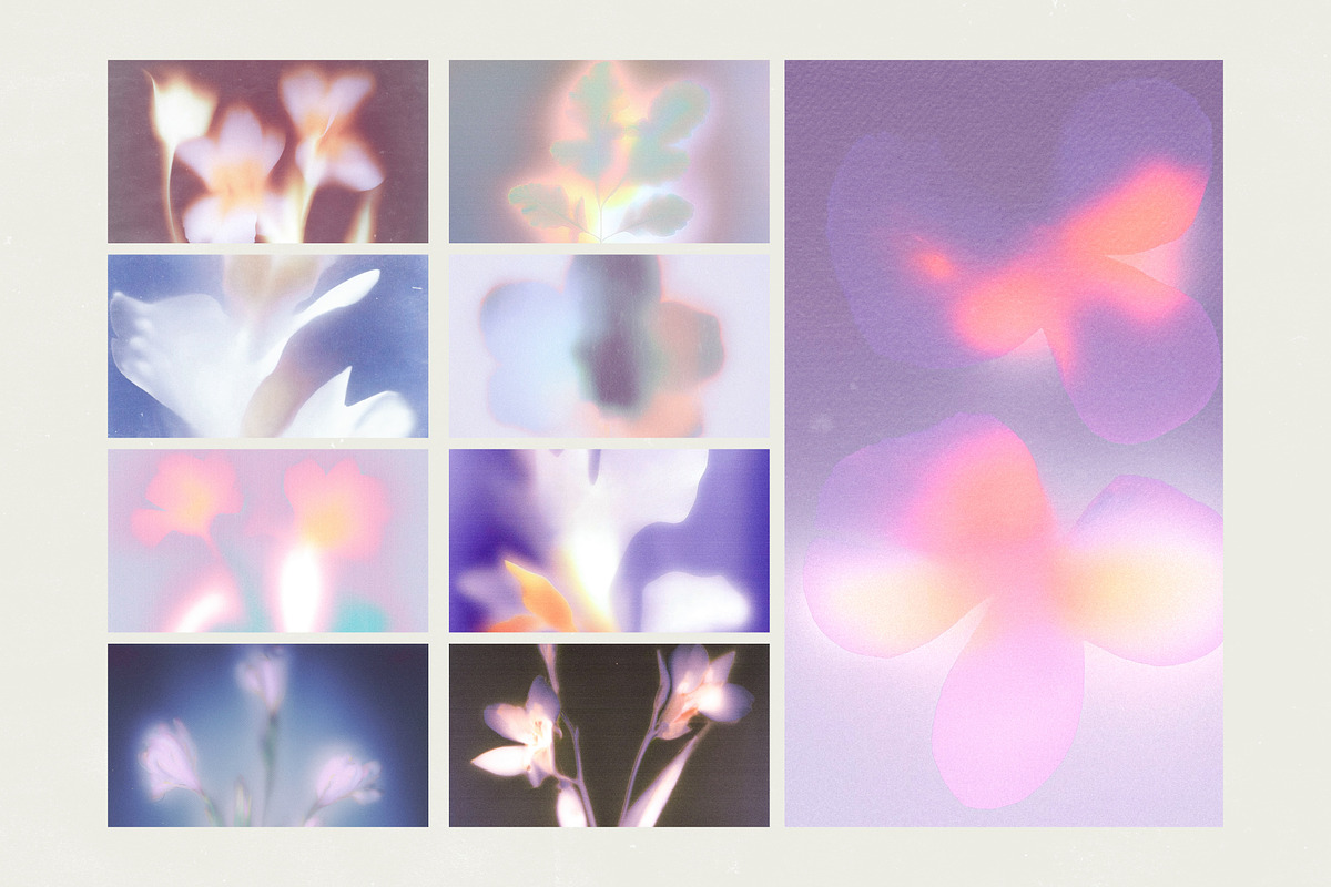 Bloom Veil: Dreamy Floral, a Background Graphic by Hello Muse (Photo 9 of 10)