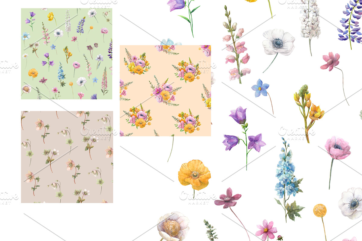 Watercolor summer wild flowers., an Illustration by yulia.sukhanova (Photo 4 of 4)