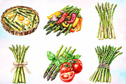 Watercolor Asparagus Clipart Bundle, a Food Illustration by Canvas Craft (Thumbnail 3 of 3)