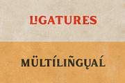 Inlander - Retro Display Font, a Serif Font by Edignwn Type (Thumbnail 10 of 12)
