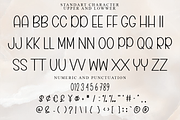 Minimalist Signature, a Serif Font by FreshTypeINK (Thumbnail 3 of 7)