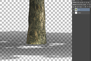 CUT OUT ENGLISH OAK TREE, a Mask Mockup by 3DSTORE (Thumbnail 4 of 4)