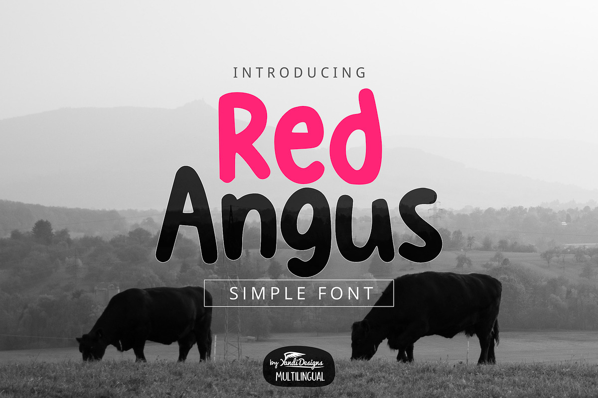 Red Angus Font, a Sans Serif Font by YandiDesigns (Photo 1 of 4)