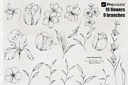 FineLine Floral Stamps for Procreate, a Brush Add-On by CaraulanStore (Thumbnail 3 of 9)