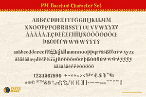 PM Bacchus Bouncy Retro Serif