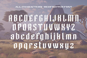 Redfighter, a Symbol Font by Ditatype (Thumbnail 9 of 10)
