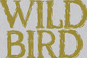 Wild Bird Hand Crafted Font, a Handwritten Font by AnMark (Thumbnail 11 of 12)