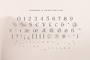 Rosan Serif - Cinematic Serif Font, a Serif Font by Hamz Studio (Thumbnail 14 of 16)