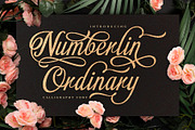 Brighton Daction Serif Font, a Serif Font by Graphicxell (Thumbnail 19 of 19)