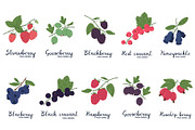 Ripe delicious berries, a Food Illustration by Torontotokio (Thumbnail 4 of 5)