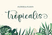 Marilyne -  Modern Calligraphy, a Script Font by Silverdav (Thumbnail 3 of 9)
