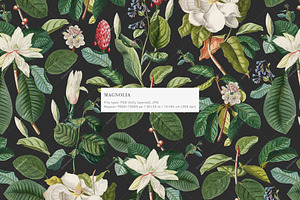 Exquisite Botanical Floral Pattern