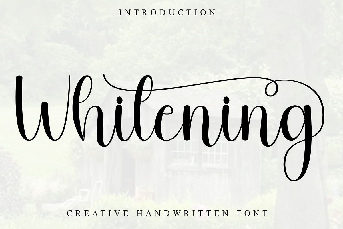 Whitening, a Handwritten Font by FreshTypeINK (Photo 1 of 7)