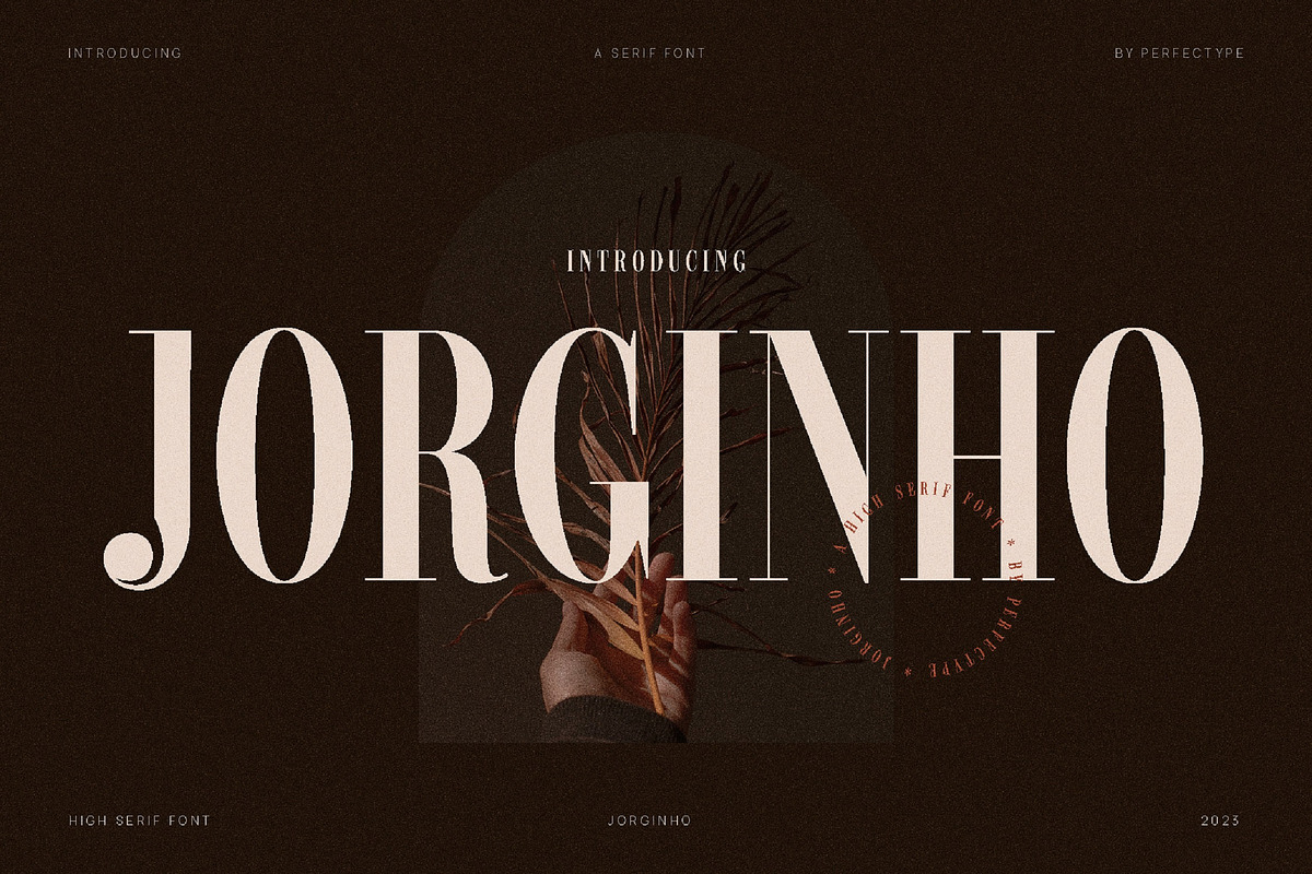 Jorginho Elegant Serif Font, a Serif Font by Perfectype (Photo 1 of 10)
