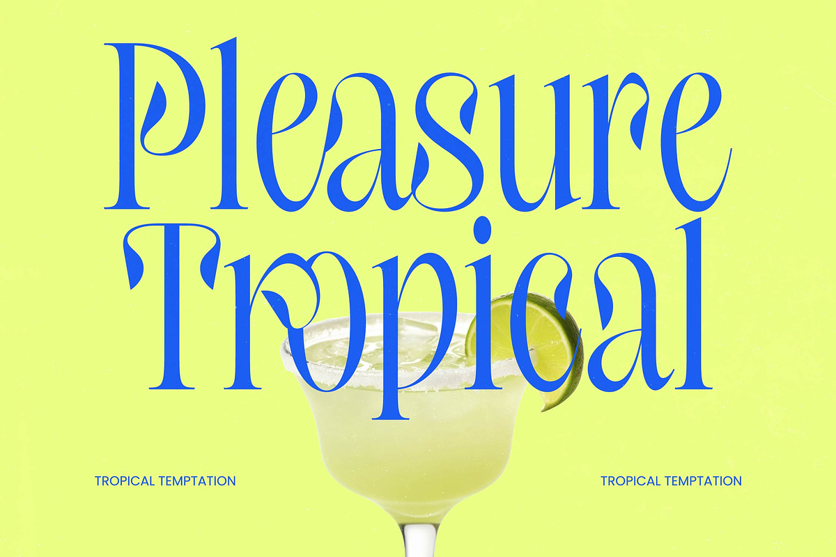 Hakons Serif Display Font, a Serif Font by timelesstype.co (Photo 8 of 10)