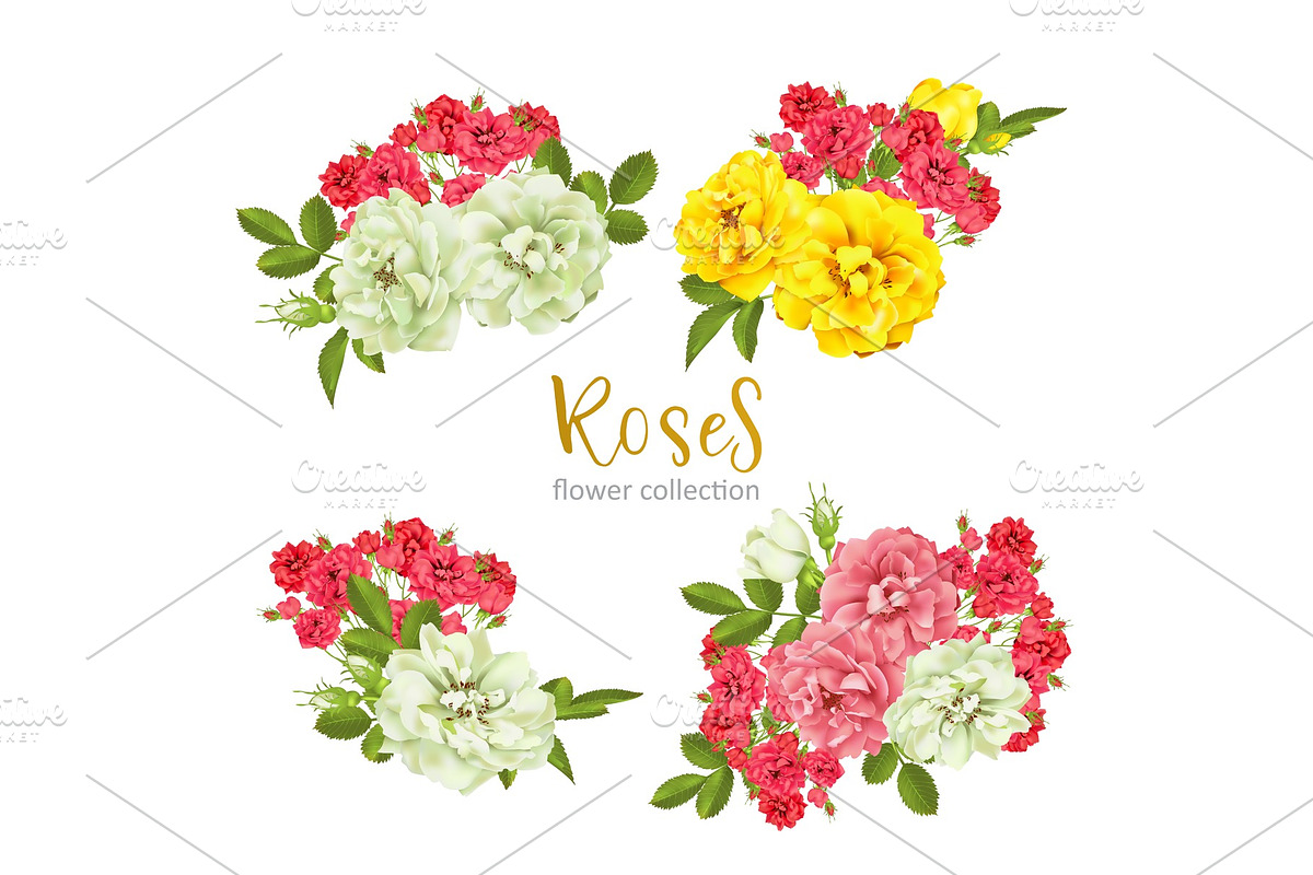 Set collection flowers roses on white background, a Decorative Illustration by irska