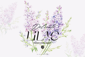 Delicate Lilac Watercolor Clipart