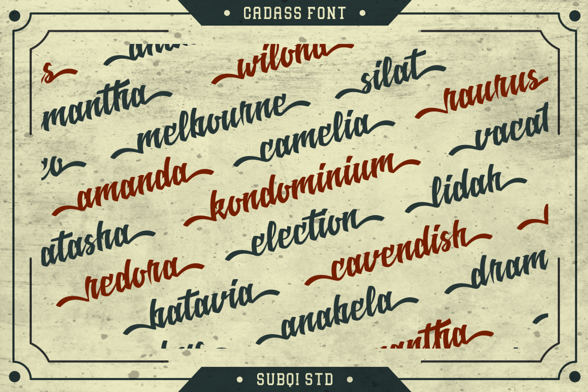Cadass Font Duo preview 4