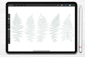 Fern. Procreate Brush Set
