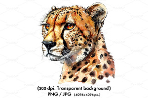 Watercolor of a cheetah head., an Animal Illustration by yod67