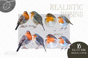 Realistic Robins Illustrations Set, an Illustration by White Lane Studio (Thumbnail 2 of 8)