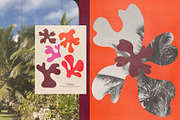 Coral – Hand Drawn Coral Forms, a Decorative Illustration by Madeline ODonoghue Design (Thumbnail 11 of 15)