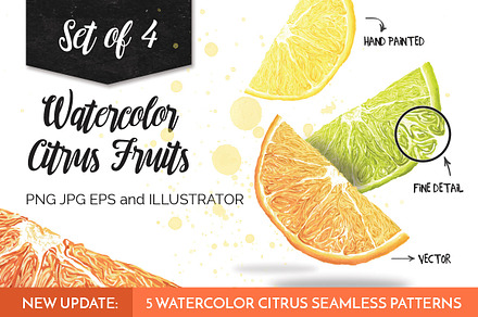 Watercolor Citrus Fruits