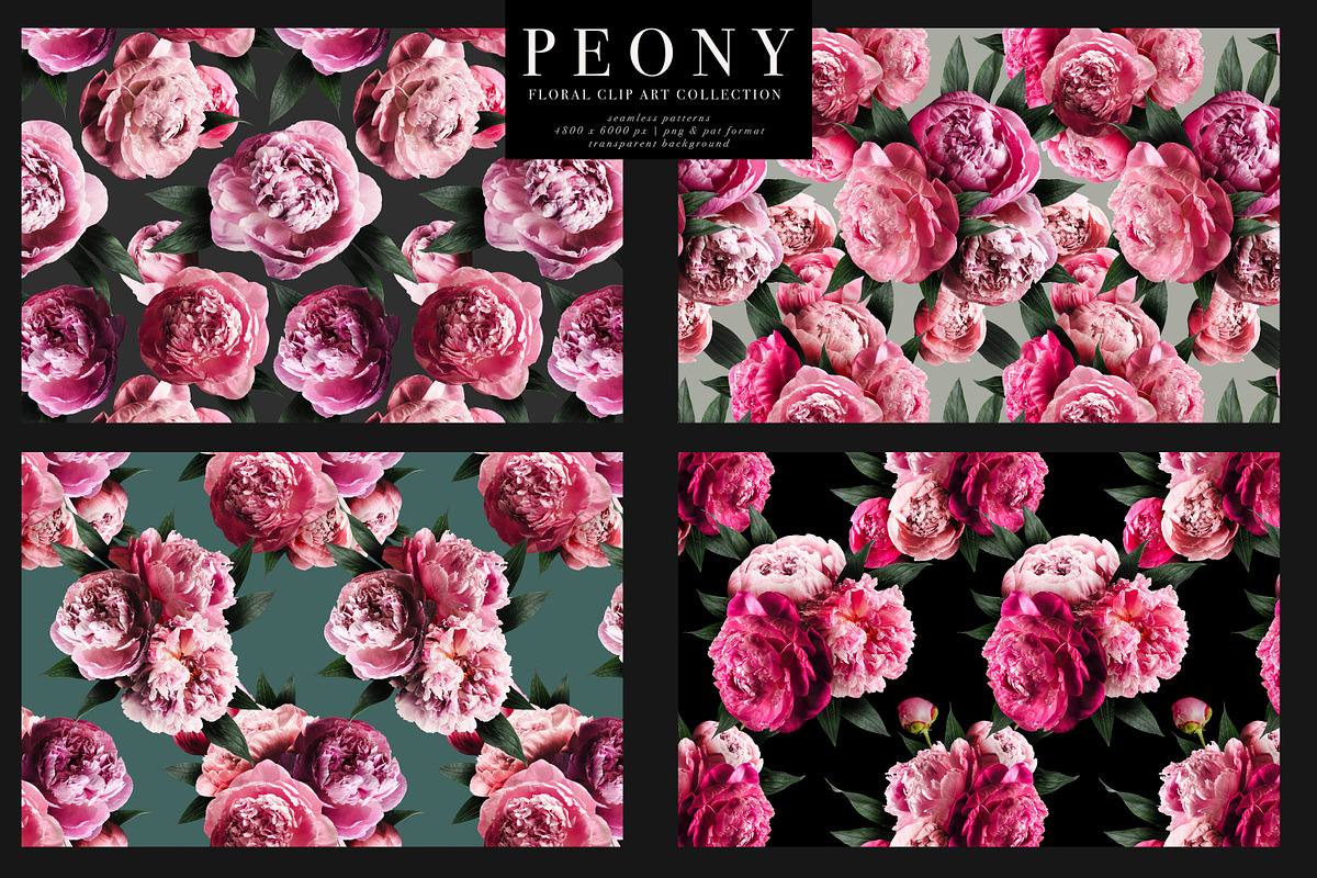 Peony Floral Clip Art, an Object Graphic by Eclectic Anthology (Photo 16 of 17)