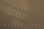 Think Swite Elegant Serif Font, a Serif Font by Graphicxell (Thumbnail 8 of 8)