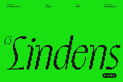 CS Lindens Pixel, a Sans Serif Font by Craft Supply Co. (Thumbnail 1 of 8)