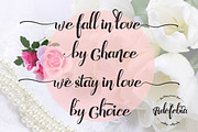 Adefebia Wedding Script Font, a Script Font by FHFont (Thumbnail 9 of 19)