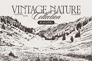 Vintage Nature Landscape Collection, a Seasonal Illustration by TheMountBirdStudio (Thumbnail 1 of 17)