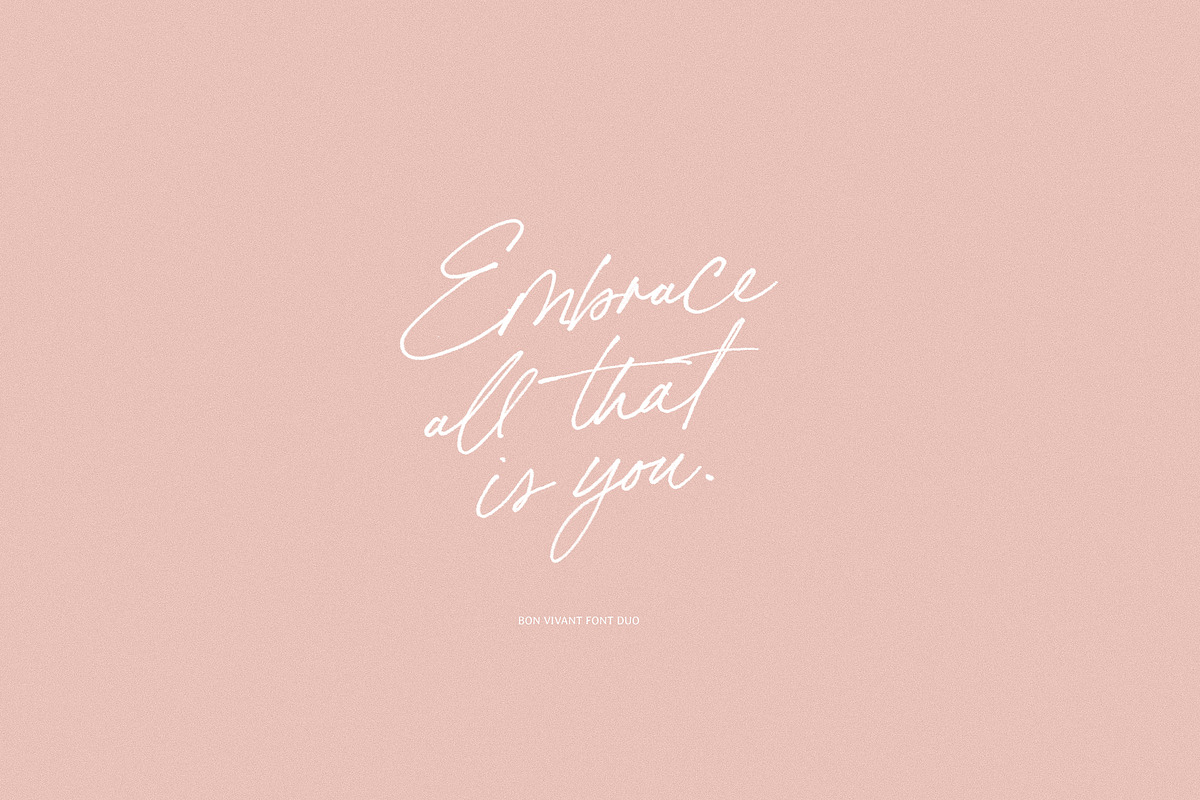 Bon Vivant Collection, a Serif Font by Nicky Laatz (Photo 7 of 44)