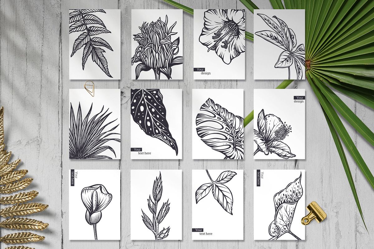 Tropical nature vector set, an Animal Illustration by Molly art (Photo 10 of 15)